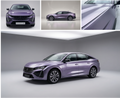 Silver Purple Metallic