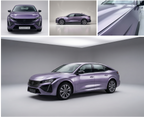 Silver Purple Metallic