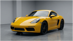 Sunflower Yellow