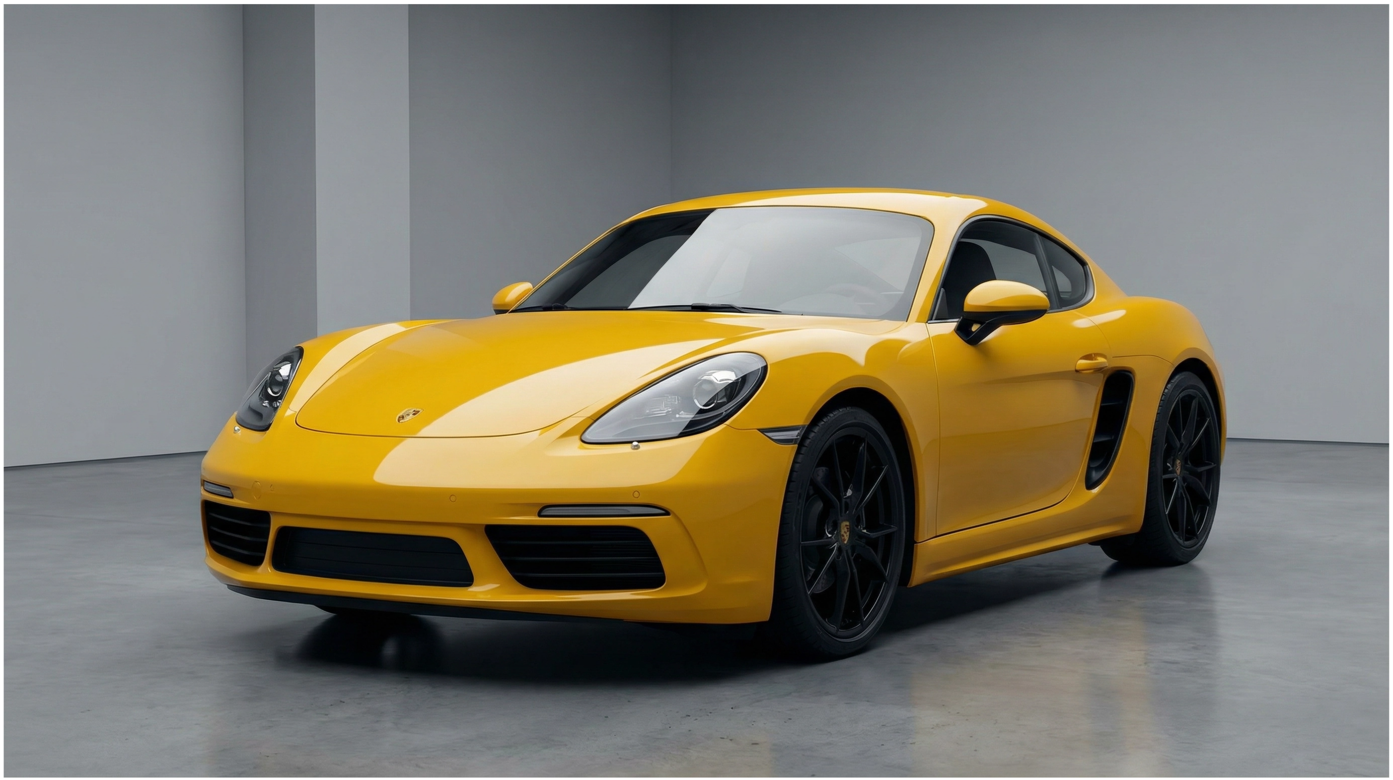 Sunflower Yellow