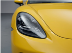 Sunflower Yellow