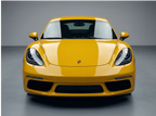 Sunflower Yellow