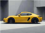 Sunflower Yellow