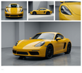 Sunflower Yellow