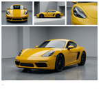 Sunflower Yellow