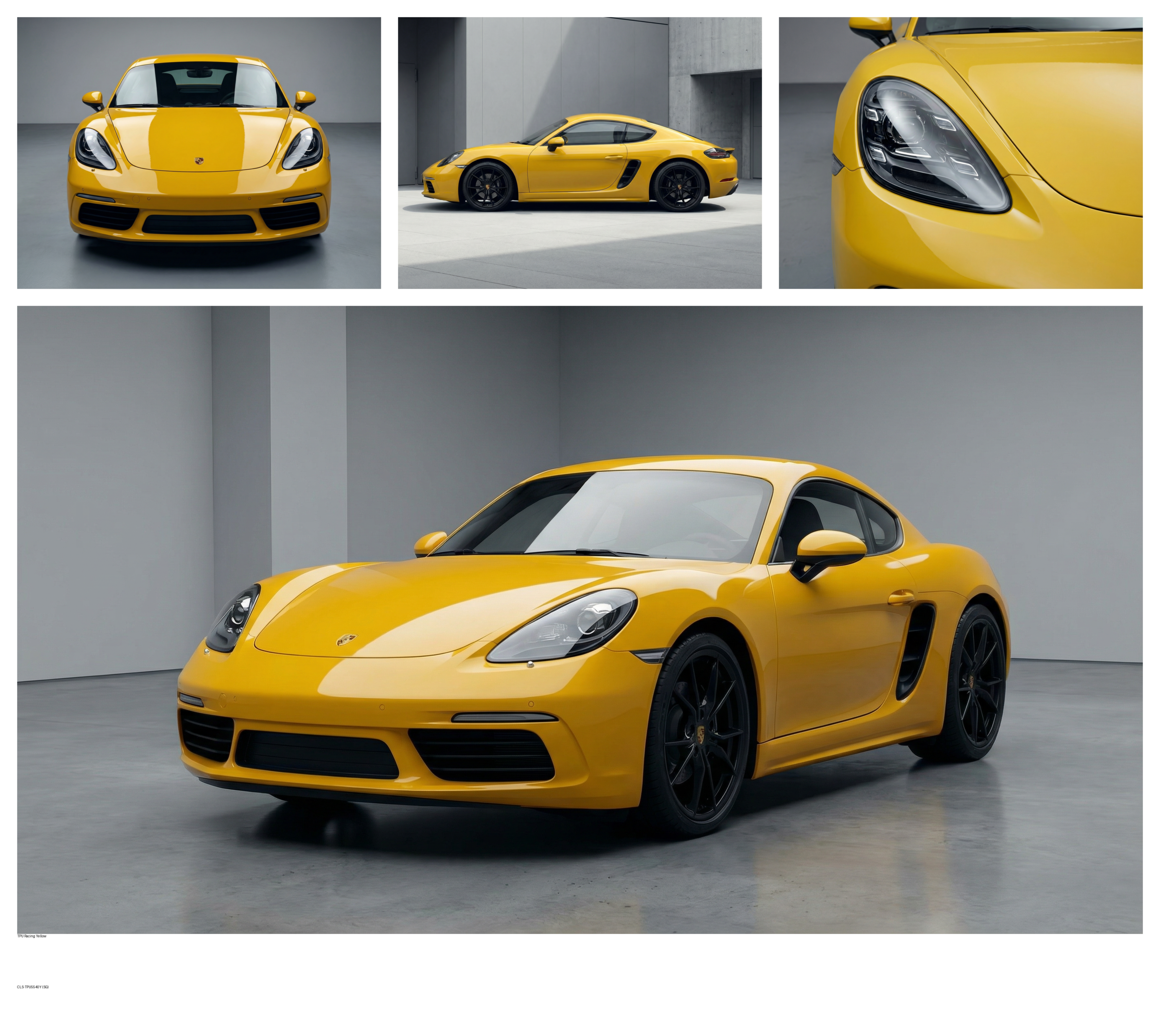Sunflower Yellow
